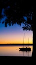 A sailboat moored at sunset viewed through frame of a tree silhouette against a colorful sky - room for copy