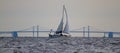 A sailboat moving across chesapeake bay at sunset Royalty Free Stock Photo