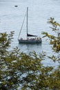 Sailboat near the coast seen from above among branches and leaves of trees