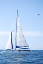 Sailboat in the ocean Royalty Free Stock Photo