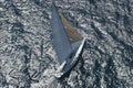 Sailboat In The Peaceful Blue Ocean Royalty Free Stock Photo