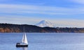 Sailboat on Puget Sound with Mt. Rainier Royalty Free Stock Photo