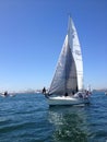 Sailboat race of long beach yacht club