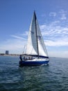 Sailboat race of long beach yacht club
