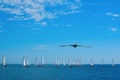 Sailboat race and pelican