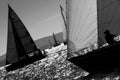 Sailboat Racing