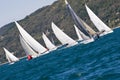 Sailboat Racing Royalty Free Stock Photo