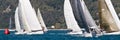 Sailboat Racing Royalty Free Stock Photo