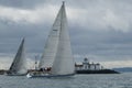 Sailboat Racing Royalty Free Stock Photo