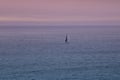 Sailboat sailed only at sunset over the Atlantic sea Royalty Free Stock Photo