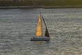 A sailboat sailing along the East River. Royalty Free Stock Photo