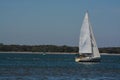 Sailboat sailing on Cumberland Sound. Fernandina Beach, Nassau County, Florida USA