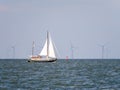 Sailboat sailing on lake IJsselmeer and windturbines of windfarm Urk, Netherlands