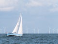 Sailboat sailing on lake IJsselmeer and windturbines of windfarm Urk, Netherlands