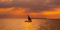 Sailboat sailing in the sunset