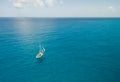 Sailboat in Bright Blue Water - Aerial View - Isla Mujeres, Mexico