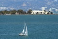 Sailboat in San Francisco Bay Royalty Free Stock Photo