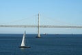 Sailboat in San Francisco Bay Royalty Free Stock Photo