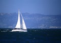 Sailboat at San Francisco Bay Royalty Free Stock Photo