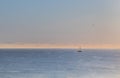 The Sailboat and Seagull at Lake Michigan Royalty Free Stock Photo