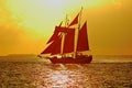 Sailboat at sunset Royalty Free Stock Photo