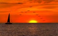 Sailboat Sunset Royalty Free Stock Photo