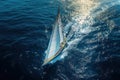 Sailboat yacht boat sails on the blue water of sea in a sailing race. Aerial top view above drone Royalty Free Stock Photo