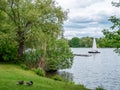 Sailboat on the Zwickau swan pond