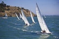 Sailboats Royalty Free Stock Photo