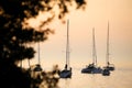 Sailboats in Adriatic sea at sunset Royalty Free Stock Photo