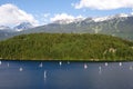 Sailboats on Alta Lake, Whistler Royalty Free Stock Photo