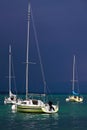 Sailboats anchored in the Geneva harbor