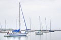 Sailboats anchored in the marina on silver water