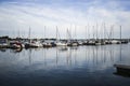 Sailboats anchored in marine in Kamien Pomorski