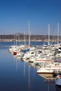 Sailboats in Bodo Royalty Free Stock Photo