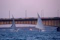 Sailboats and bridges on the River Nile.