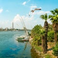 Sailboats in Cairo Royalty Free Stock Photo