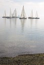 Sailboats In Calm Water
