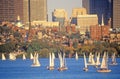 Sailboats on the Charles River, Boston, Massachusetts Royalty Free Stock Photo