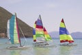Sailboats with colorful sails