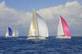 Sailboats with colorful sails during the regatta Split - Vis