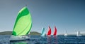 Sailboats compete in a sail regatta at sunset, race of sailboats, reflection of sails on water, multicolored spinnakers
