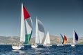 Sailboats compete in a sail regatta at sunset, race of sailboats, reflection of sails on water, multicolored spinnakers