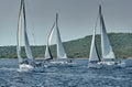 Sailboats compete in a sail regatta at sunset, race of sailboats, reflection of sails on water, multicolored spinnakers