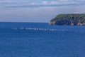 sailboats compete in a sailing regatta, sailboat race, the island is in the background, sunny day, clear weather, intense blue.