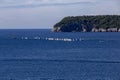 sailboats compete in a sailing regatta, sailboat race, the island is in the background, sunny day, clear weather, intense blue.