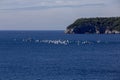 sailboats compete in a sailing regatta, sailboat race, the island is in the background, sunny day, clear weather, intense blue.