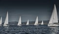 Sailboats compete in a sailing regatta at sunset, sailing race, reflection of sails on water, white color of sails, boat