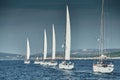 Sailboats compete in a sailing regatta at sunset, sailing race, reflection of sails on water, multi-colored spinaker