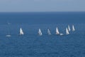 Sailboats Competing on Lake Michigan